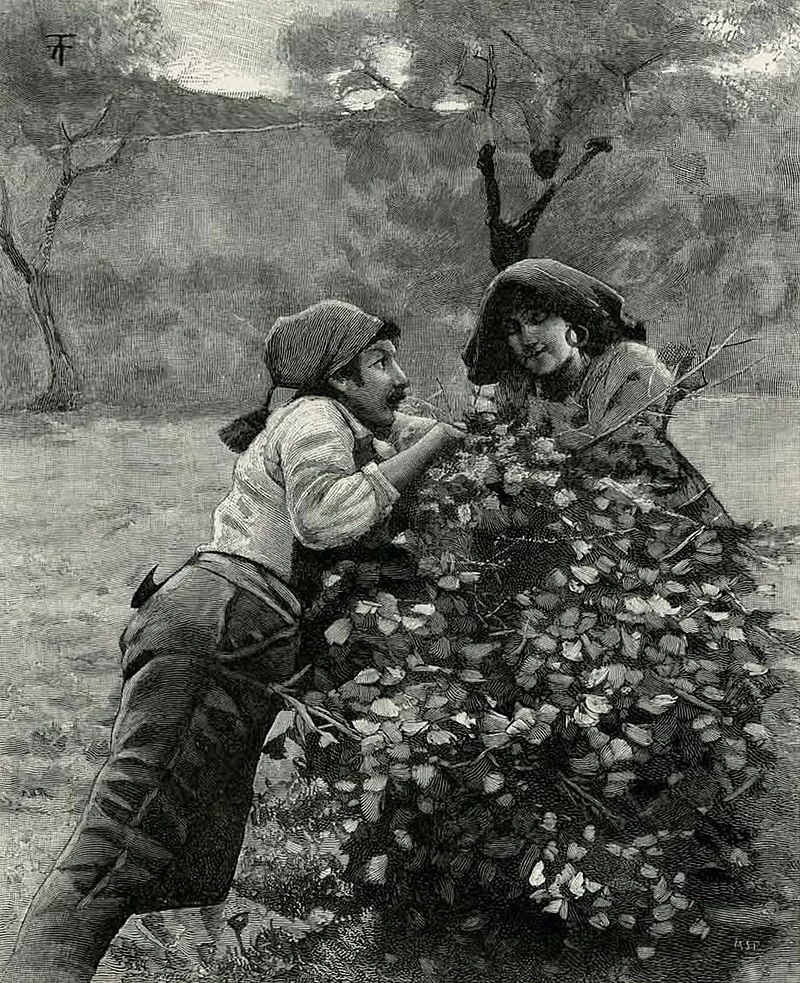 Verga - Vita dei campi, Treves, 1897 14